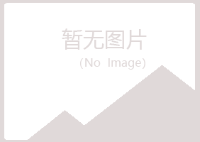 烟台莱山女孩媒体有限公司